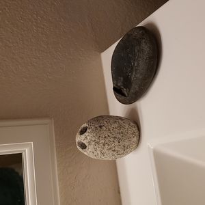 Toothbrush and soap stone holder